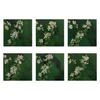 Daily Diaries: Flowering Saskatoons