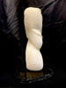 Torso