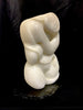 Torso