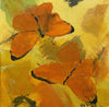 Daily Diaries: Butterflies