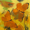 Daily Diaries: Butterflies