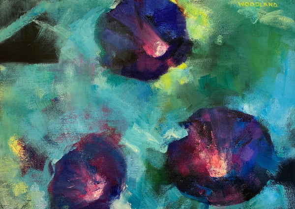 Morning Glories