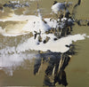 River Oak Snow