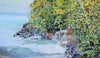 Shoreline