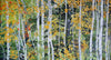Superior Fall