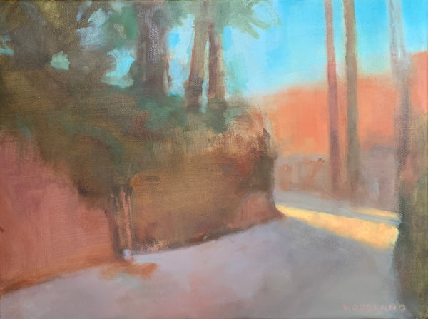 Luminous Road