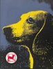 Year of the Dog