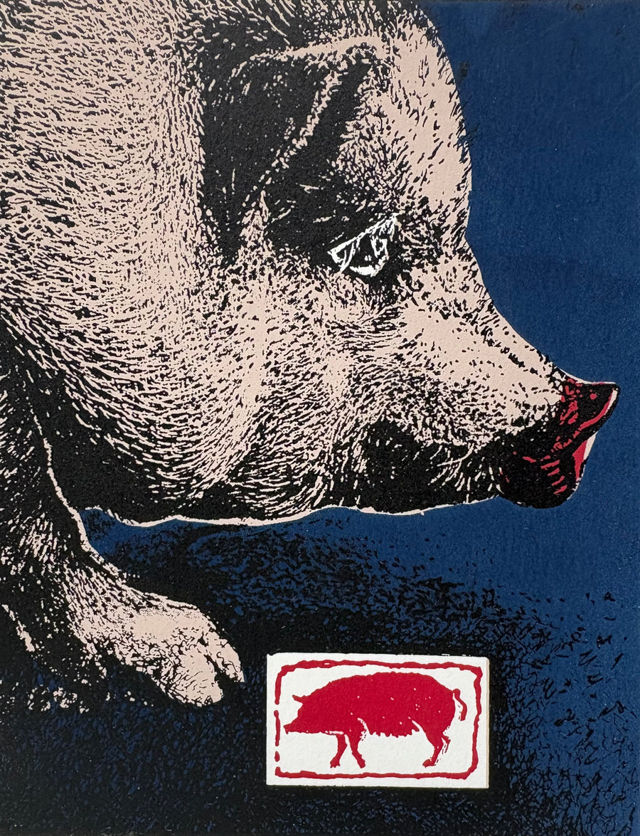 Year of the Pig