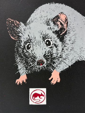 Year of the Rat