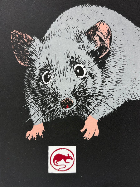 Year of the Rat