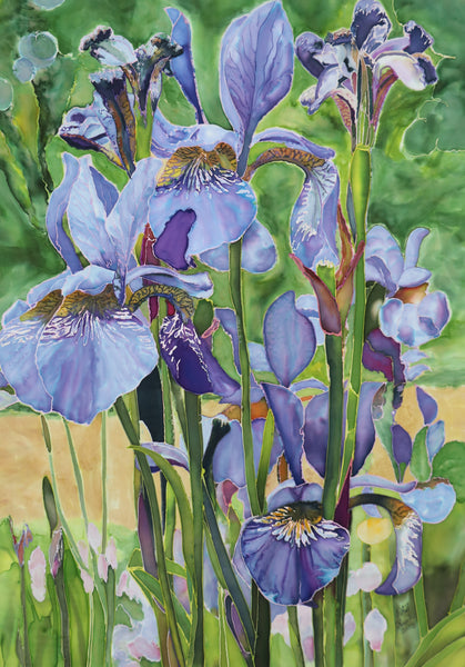 Iris 3