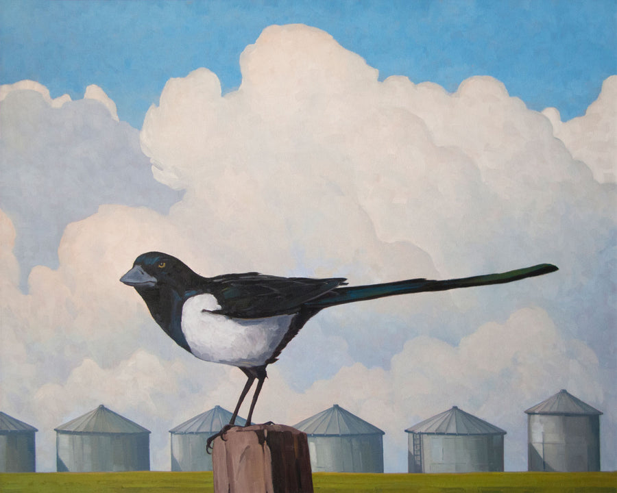 Magpie Two