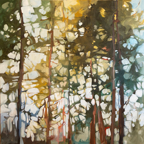 Birch Island 2