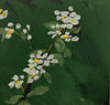 Daily Diaries: Flowering Saskatoons