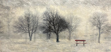 Winter in the Park