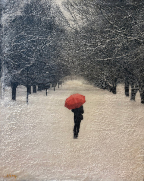 A Walk in the Park on a Snowy Day