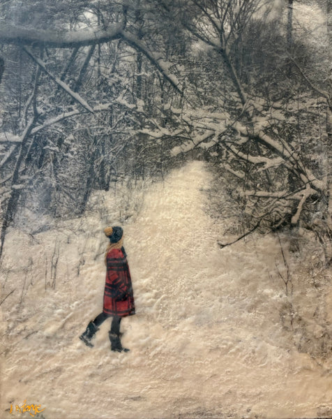 A Walk in the Woods on a Winter's Day