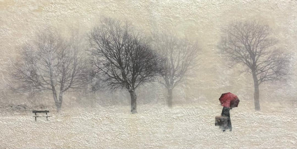 Time to Say Goodbye (Winter's End)
