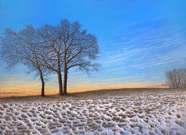 Oak Hill - Winter Solitude