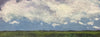 Summer Sky
