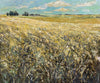 Wheat & Wind