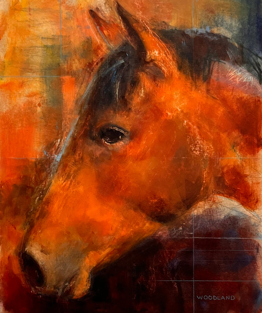 Portrait of Horse in Profile