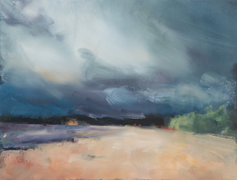 Lester Beach: Storm